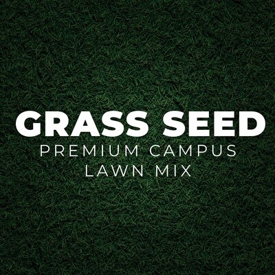 Grass Seed: Premium CAMPUS Lawn Mix