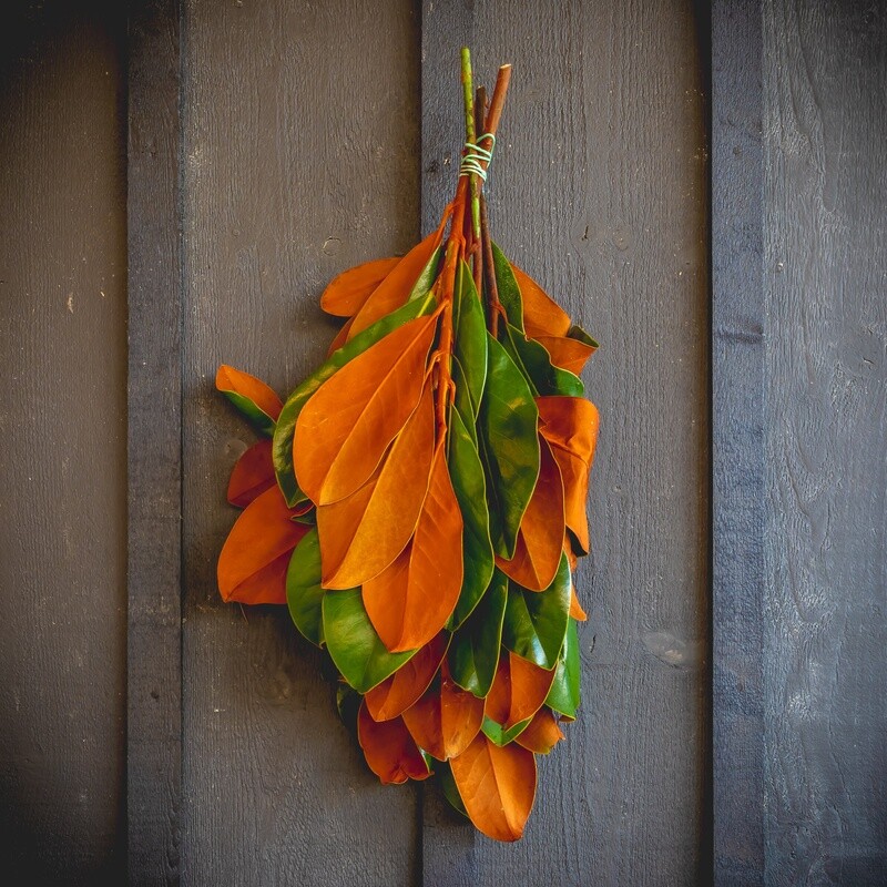 Fresh Greens - Magnolia