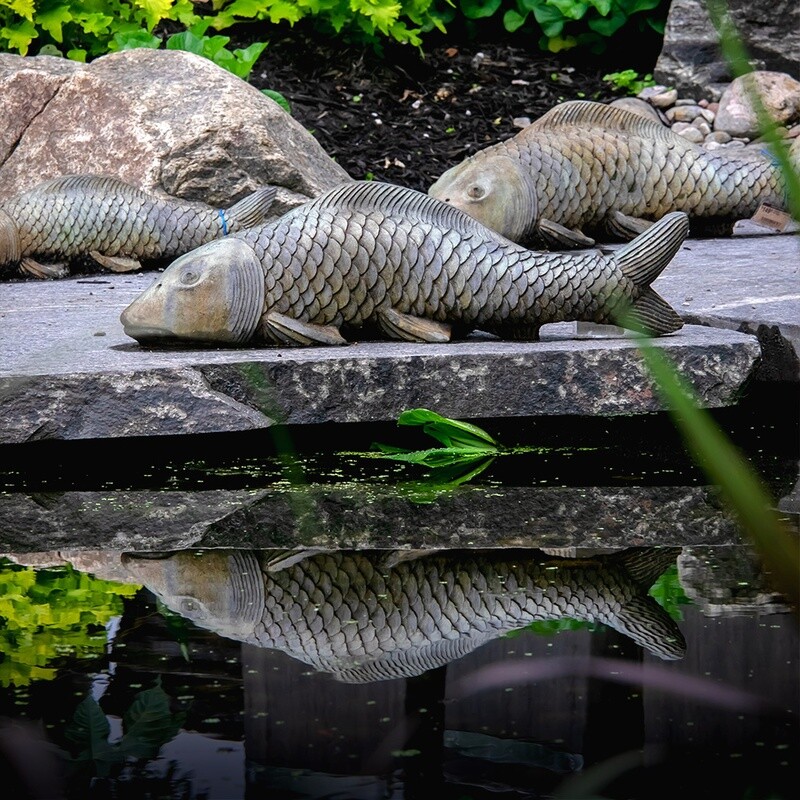 Statuary - Swimming Koi