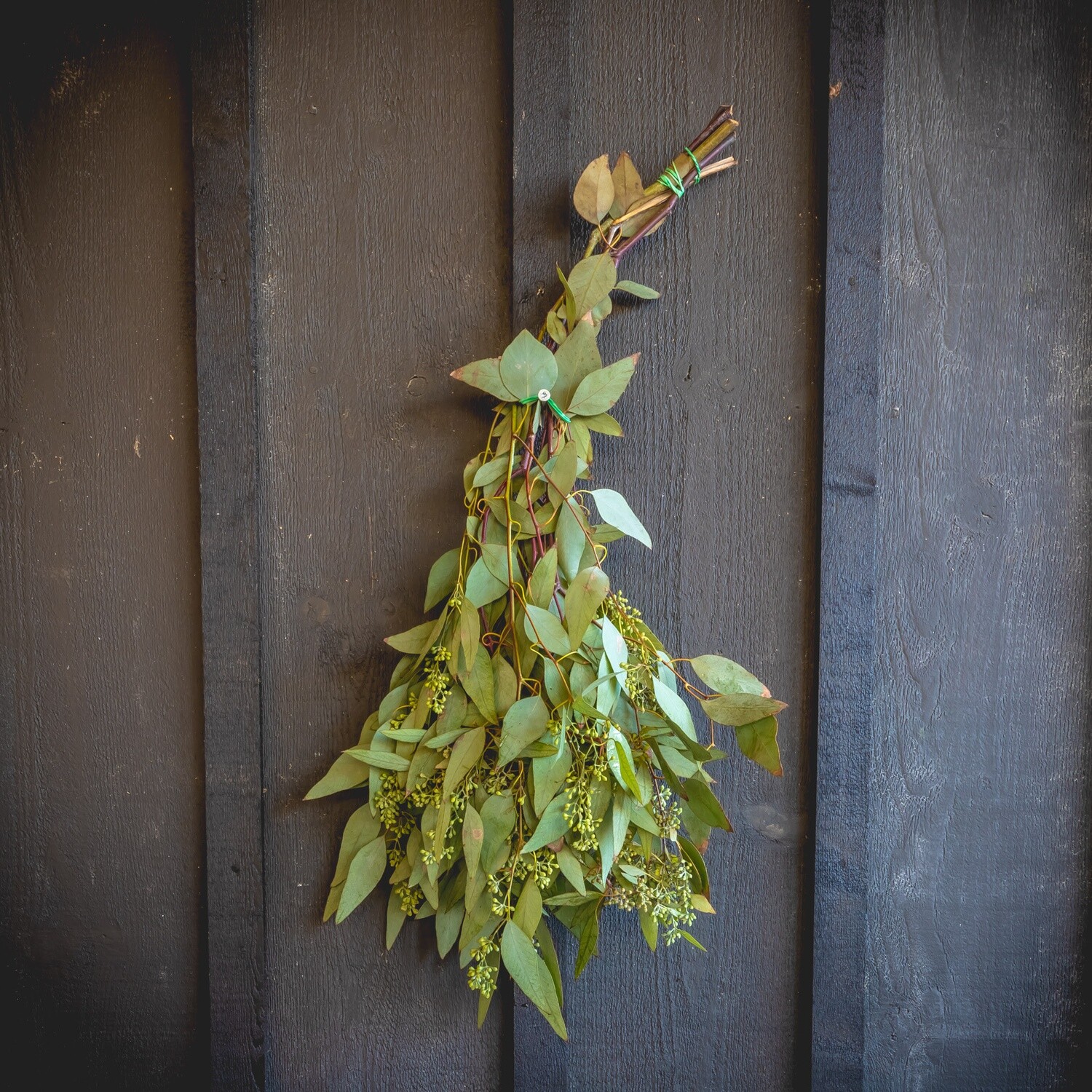 Fresh Greens - Seeded Eucalyptus