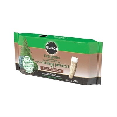 Miracle-Gro Evergreen Spikes 12-6-12, 10pk / 1.13kg