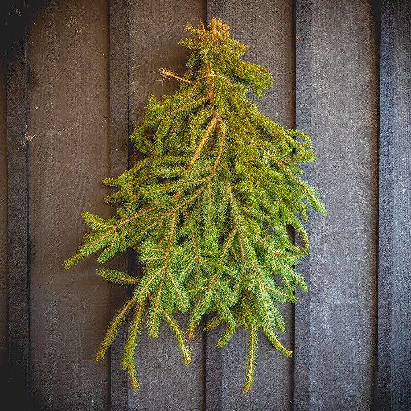 Fresh Greens - White Spruce