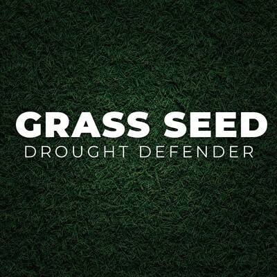 Grass Seed: Drought Defender