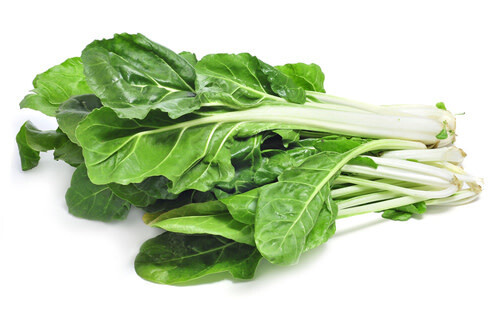 Swiss Chard &#39;Green&#39; 4&quot;