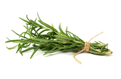 Rosemary - 4"