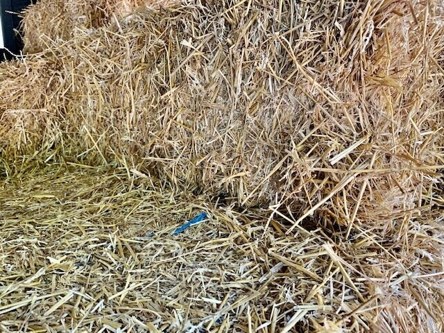 Straw Bale