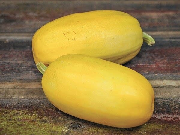 Fall Squash:  Spaghetti