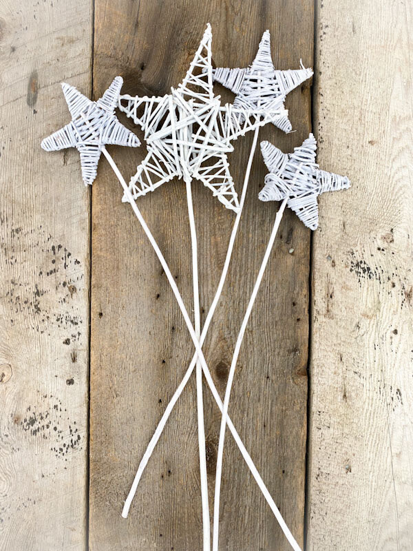 Pick: Lata Star White Wash (1 Stem)