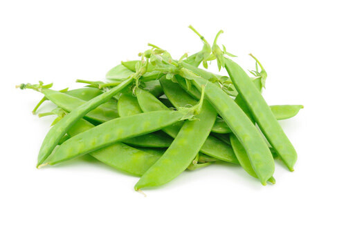Peas 'Little Sweetie' 4 cell pack