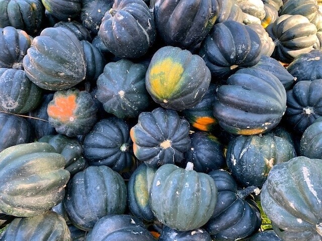 Fall Squash: Pepper/Acorn