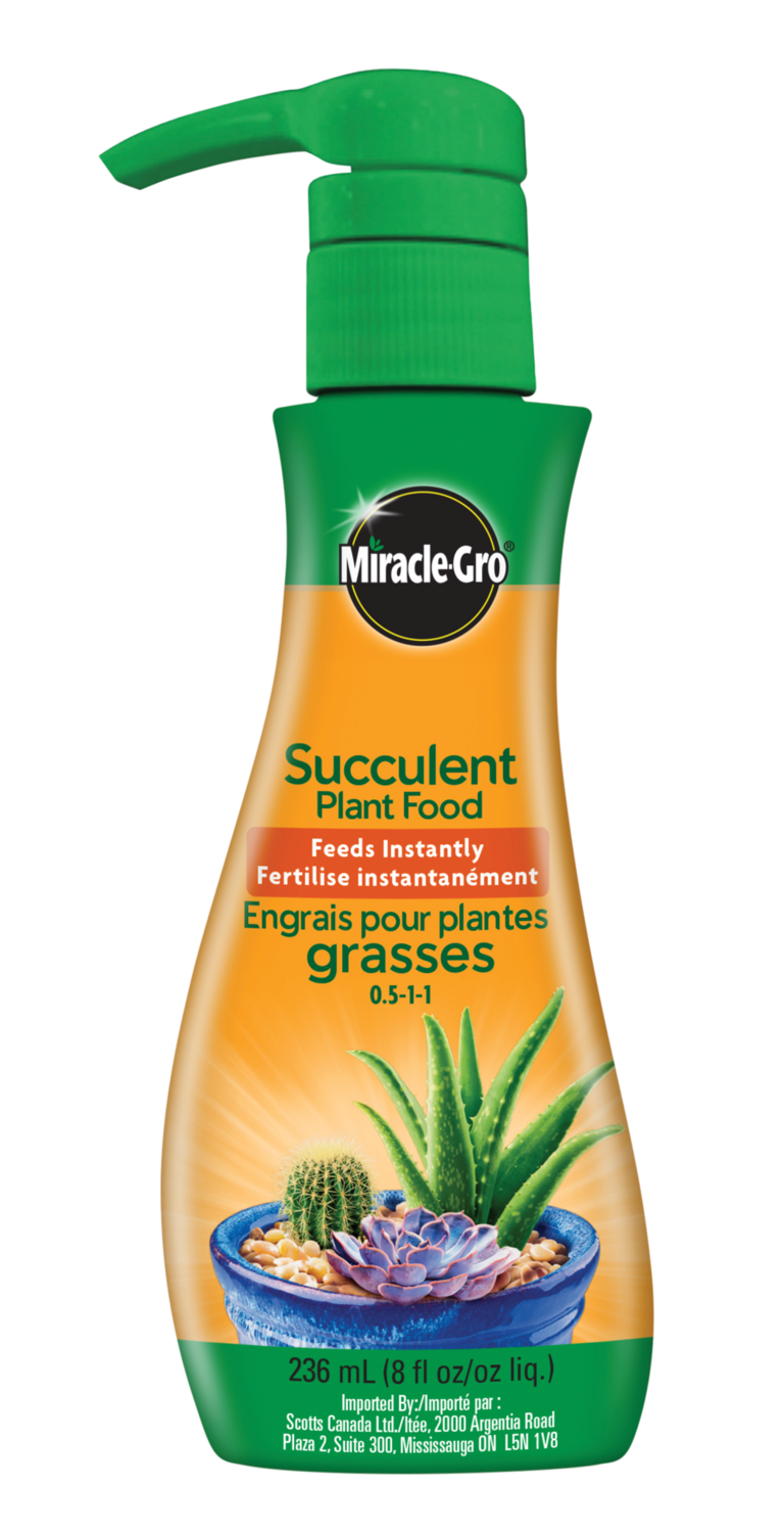 Miracle-Gro Succulent Food 0.5-1-1 (236 ml)
