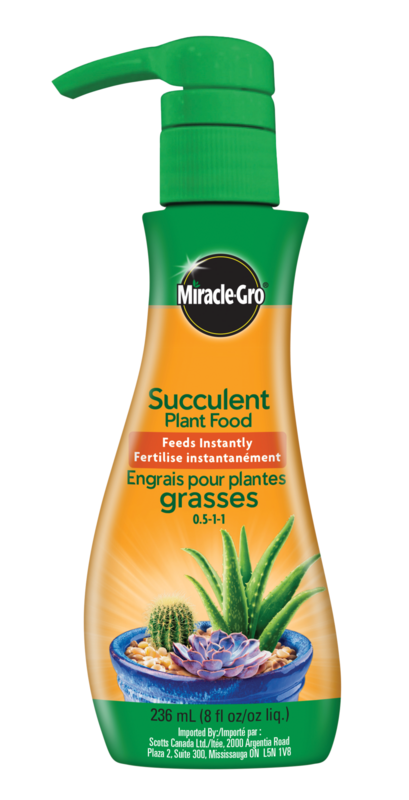 Miracle-Gro Succulent Food 0.5-1-1 (236 ml)
