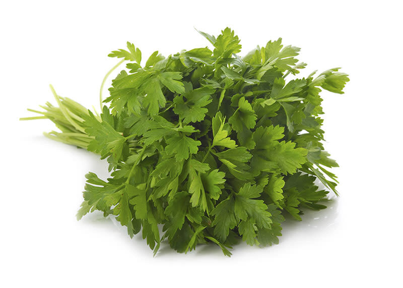 Parsley &#39;Flat Leaf&#39; - 4&quot;