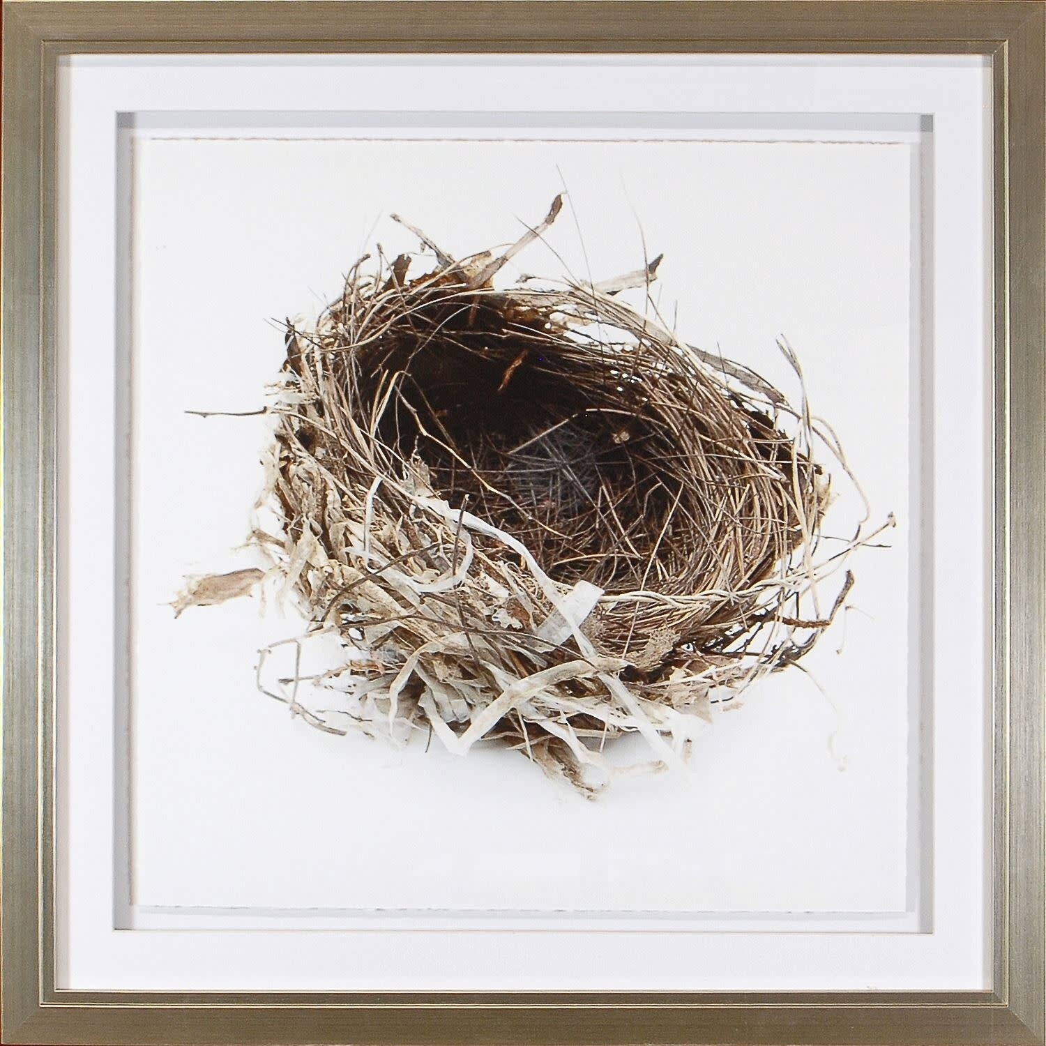 Art - Simply Nests III 20&quot; x 20&quot;