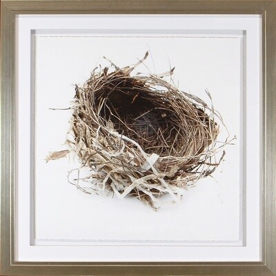 Art - Simply Nests III 20" x 20"