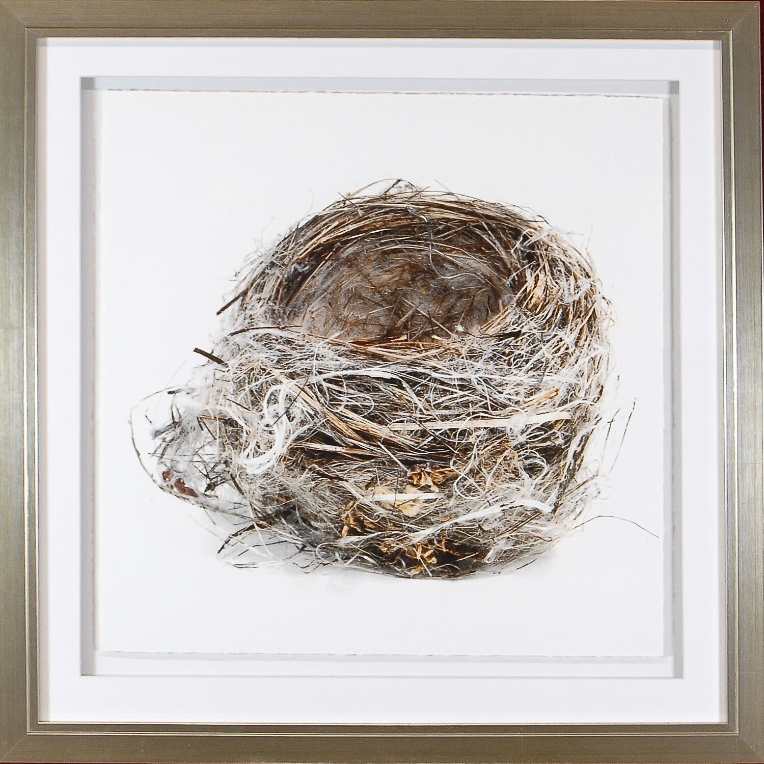 Art - Simply Nests II 20&quot; x 20&quot;