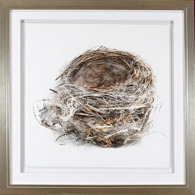 Art - Simply Nests II 20" x 20"