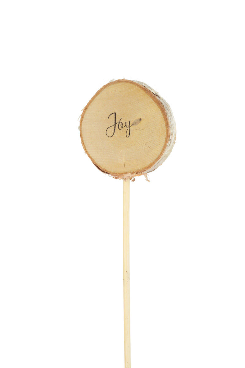 Pick: Birch Slice &#39;Joy&#39; - Single Stem