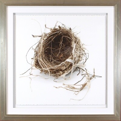 Art - Simply Nests IV 20" x 20"
