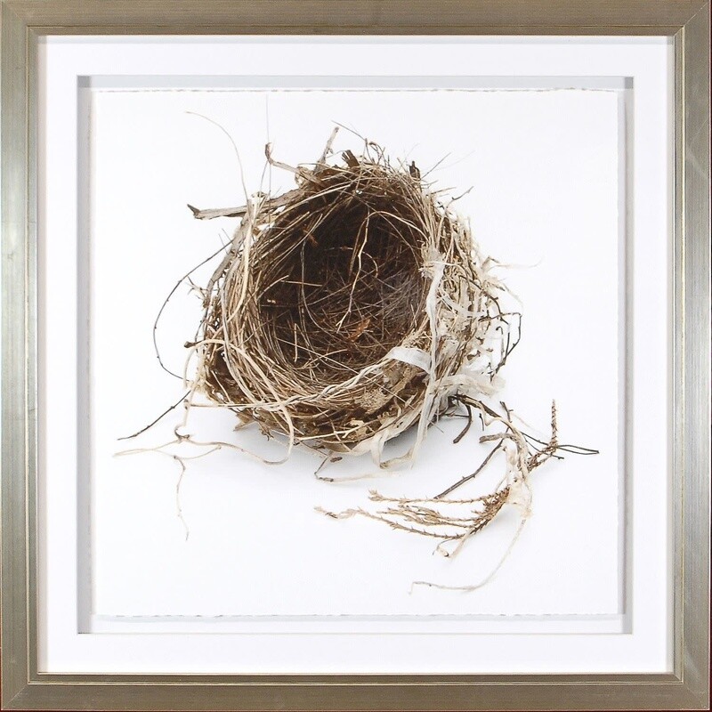 Art - Simply Nests IV 21.25" x 21.25"