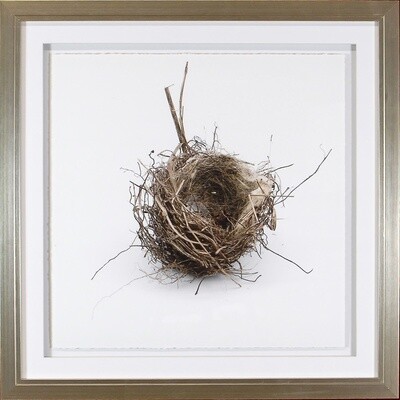 Art - Simply Nests I 20&quot; x 20&quot;