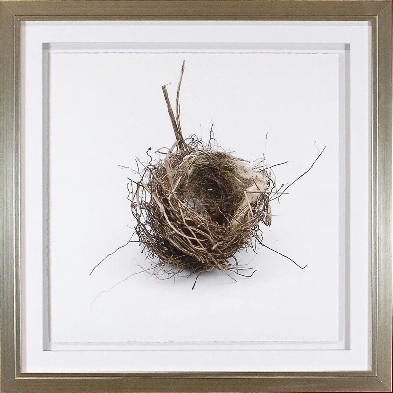 Art - Simply Nests I 21.25" x 21.25"
