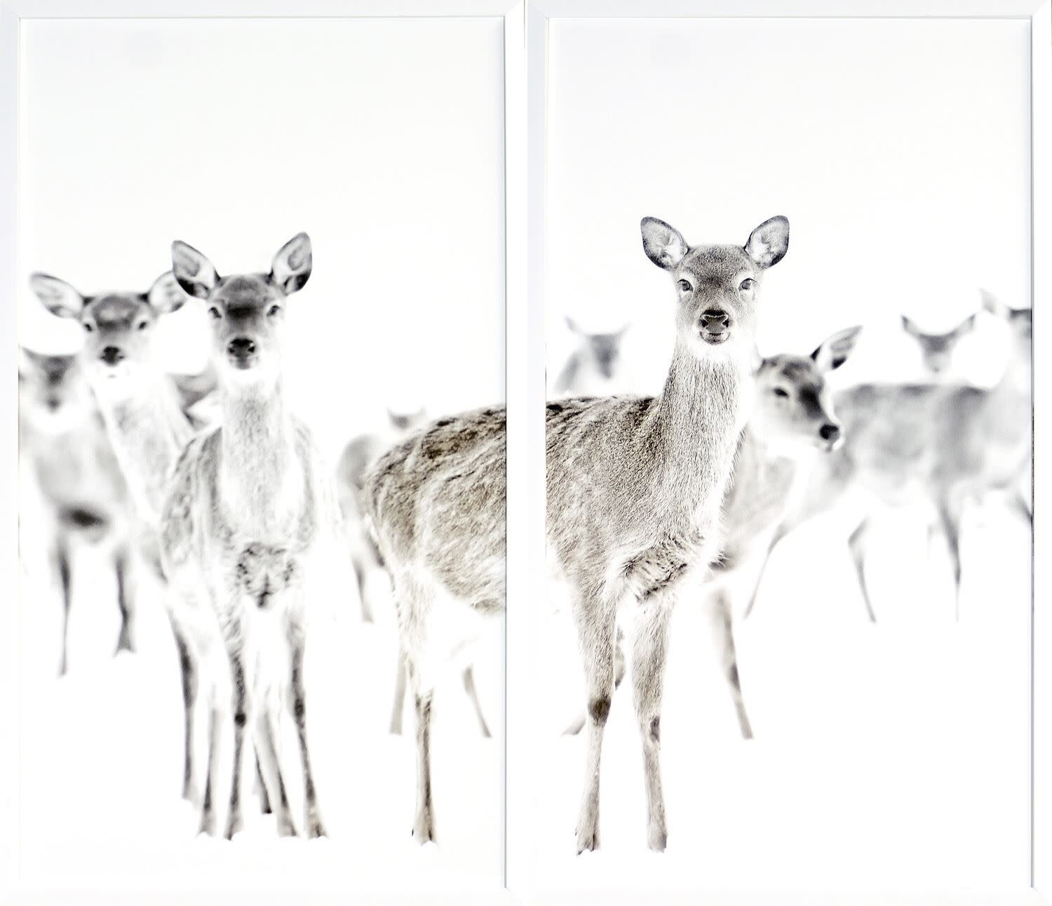 Art - Surveillance Diptych 57.5" x 51.5" (2 pieces)