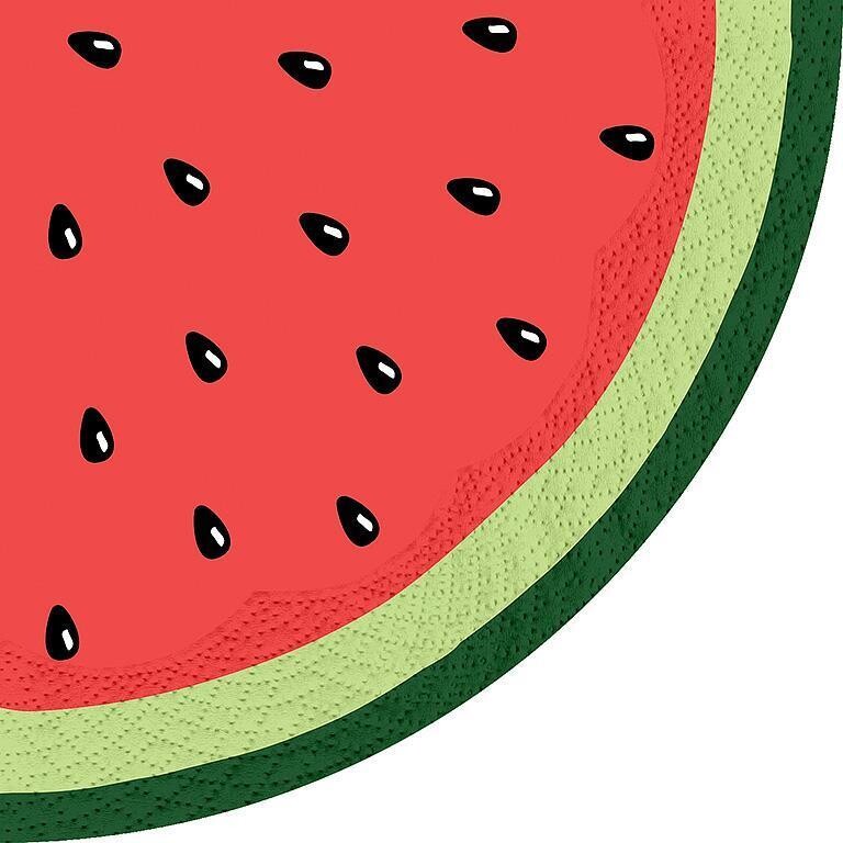 Napkin -Round - Watermelon 12 pk