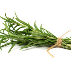 Rosemary ORGANIC 4.5"