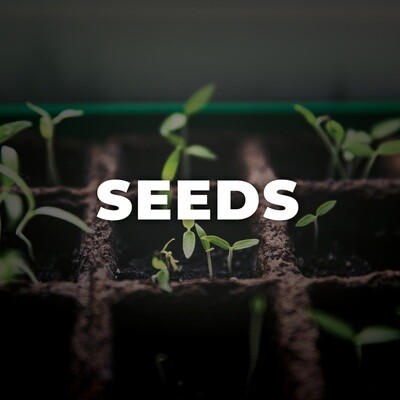 Seeds