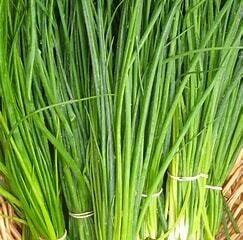 Chives ORGANIC 4&quot;