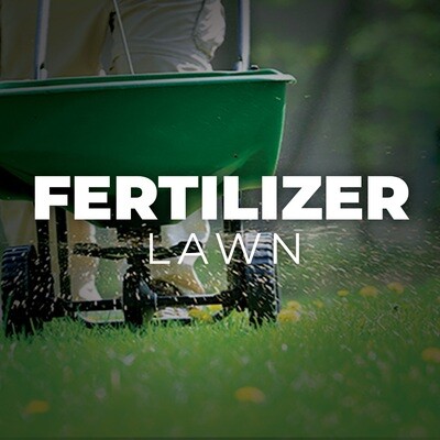 Fertilizer - Lawn
