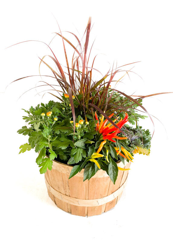 Fall Planter Mixed Peck