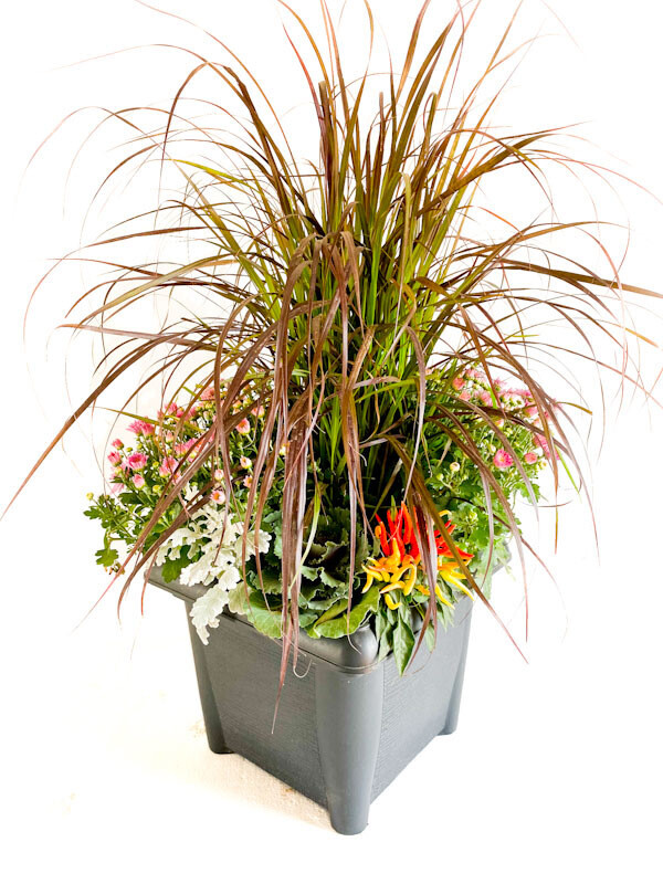 Fall Planter Mixed 14&quot; Square