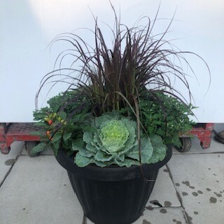 Fall Planter Mixed 18&quot; Mega