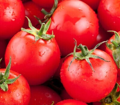 Tomato  (NF seed pkg) - Centennial Rocket