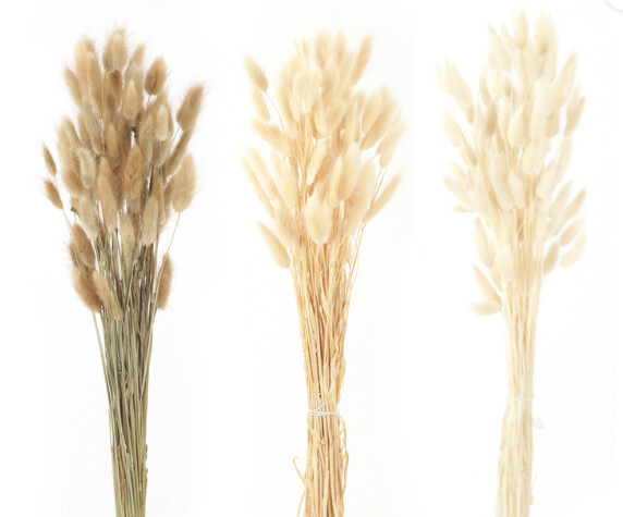 Bunny Tail - Natural, Cream, bleach