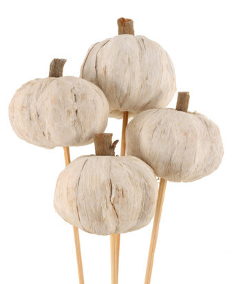 Pumpkins on Stem &#39;White&#39; - 4 Stem