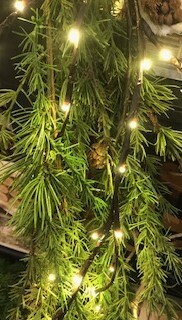 LED Lighted Vine - 144 lights