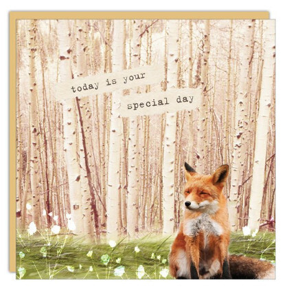 Birthday Card: Today is your Special Day - blank