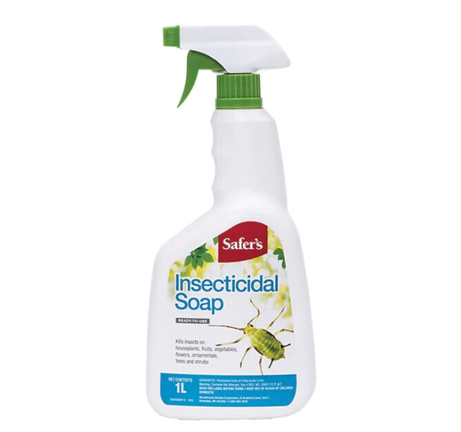 Safers Insecticidal Soap 1L Spray