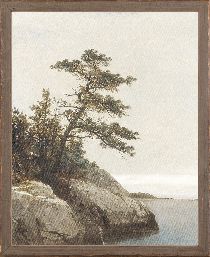 Art - The Old Pine c1872- 15&quot; X 19&quot;