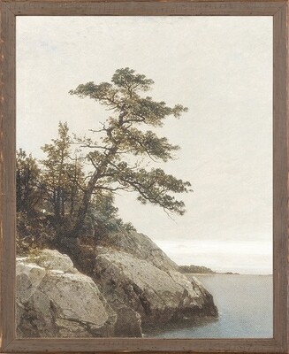 Art - The Old Pine c1872- 15" X 19"