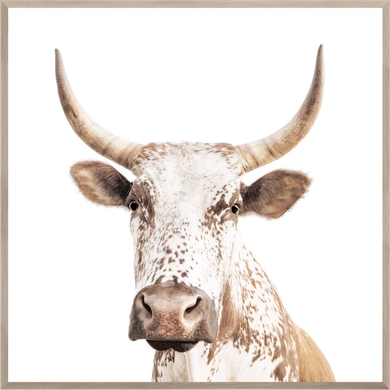 Art - Nguni - 38&quot; X 38&quot;