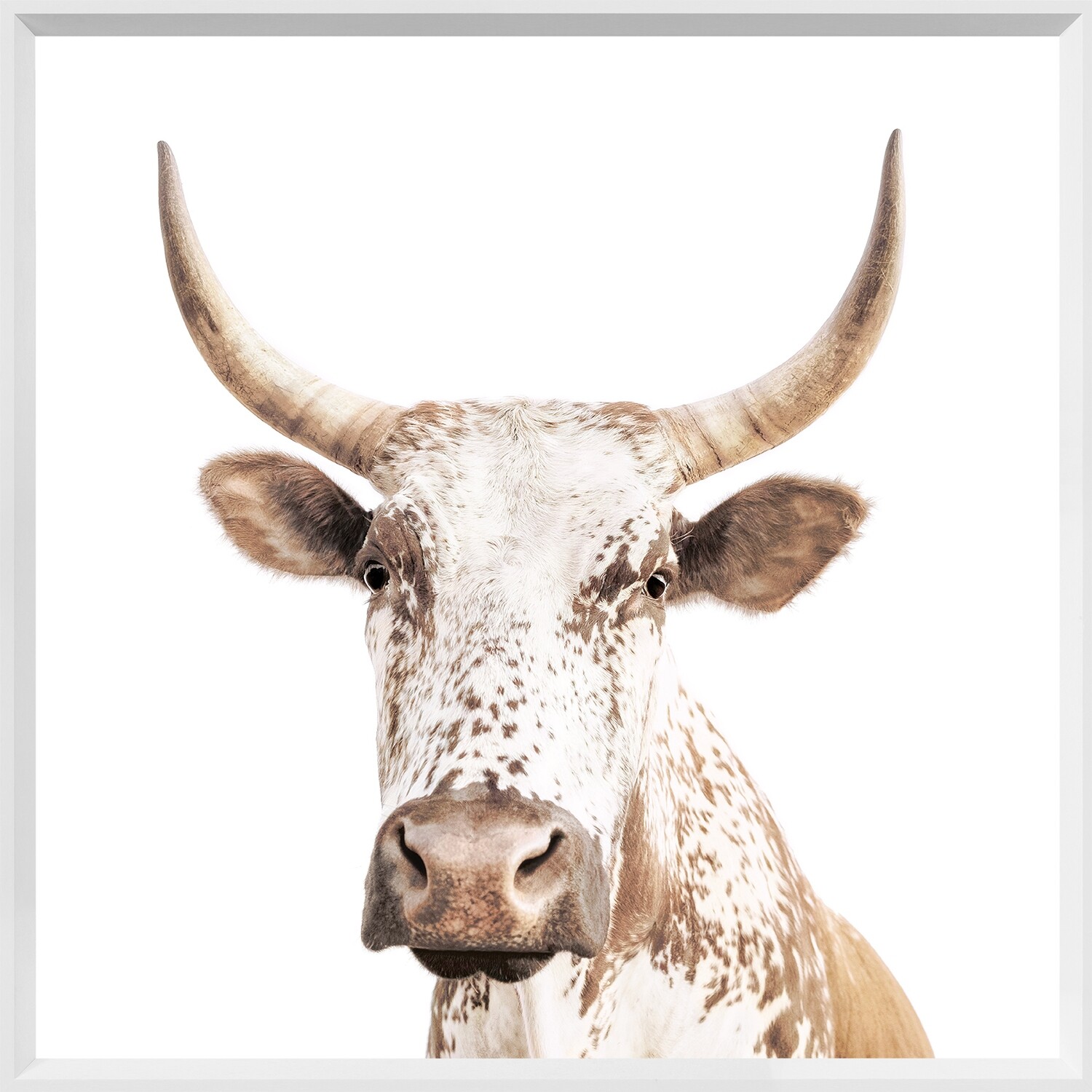 Art - Nguni - Mini Wht. 20&quot; X 20&quot;