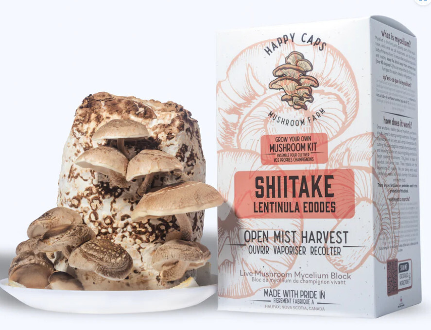 Mushroom Kit: Shitake