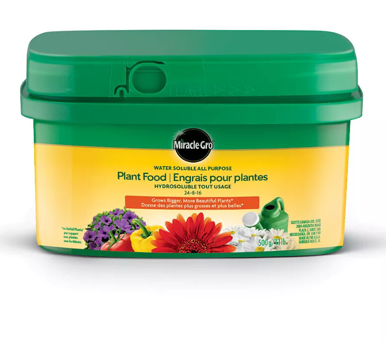 Miracle-Gro Water Sol All Purpose 24-8-16 (500 gm)