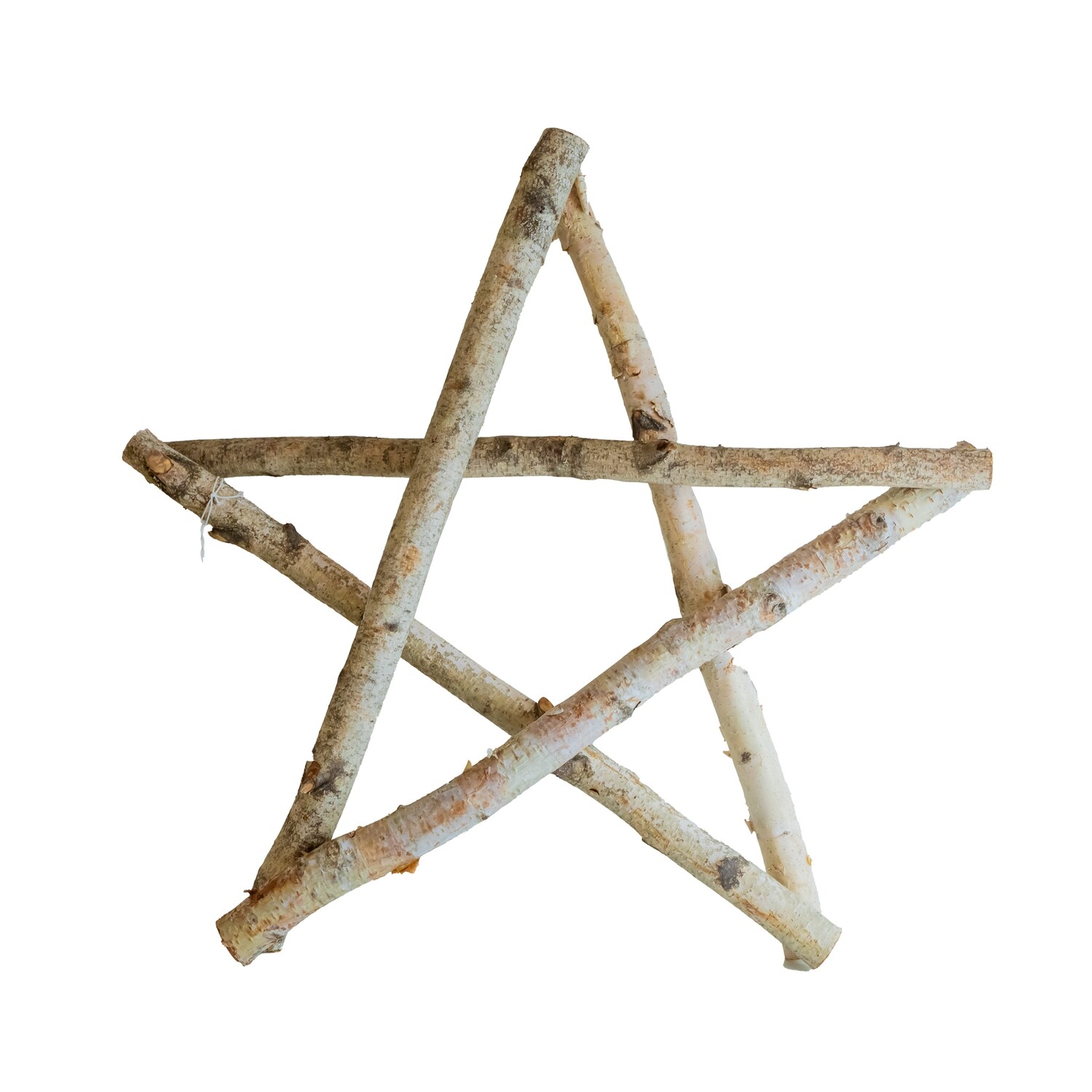 Birch Star Twig X-Large 24x24&quot;