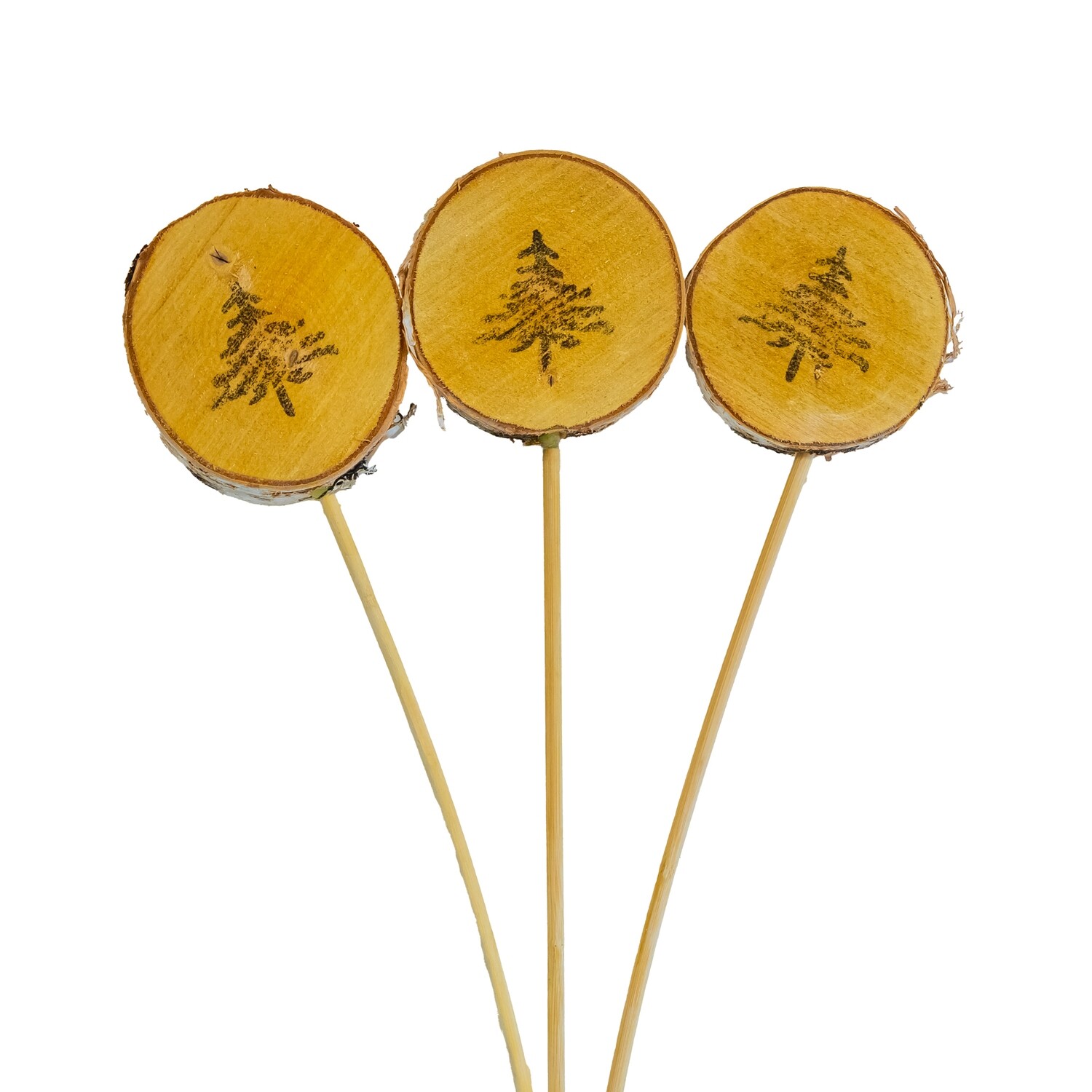 Birch Slices on Stick - Evergreen