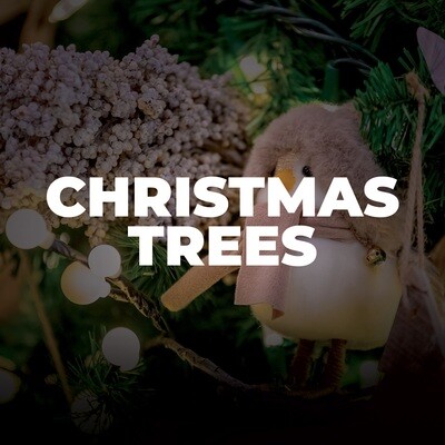 Christmas Trees